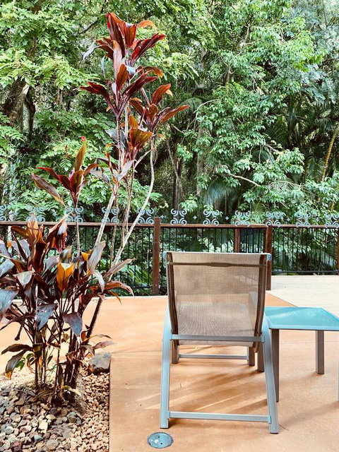 Tranquil Setting In Buderim - Accommodation Yamba 3