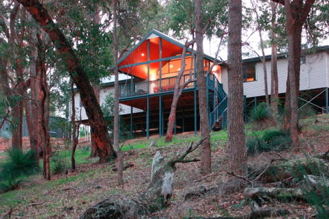 Treehouse - 3 Acre Elevated Nature Setting - Accommodation Yamba 3