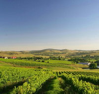 Turners Vineyard Motel - Accommodation Yamba