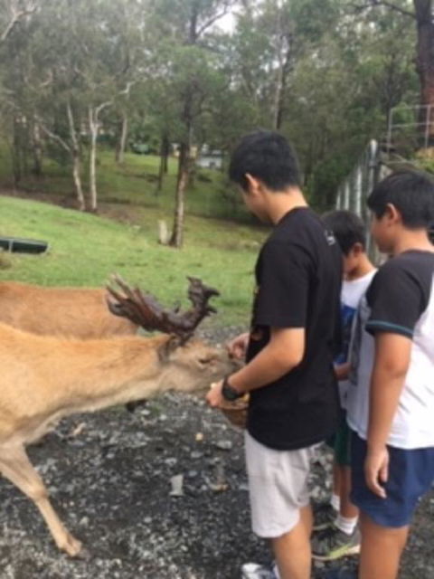 Villa Cervi Property - Accommodation Yamba 3