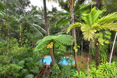 Wait A While Daintree - Accommodation Yamba 3