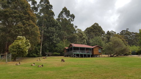 Walpole Wilderness Resort - Accommodation Yamba 0