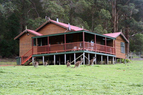 Walpole Wilderness Resort - Accommodation Yamba 1