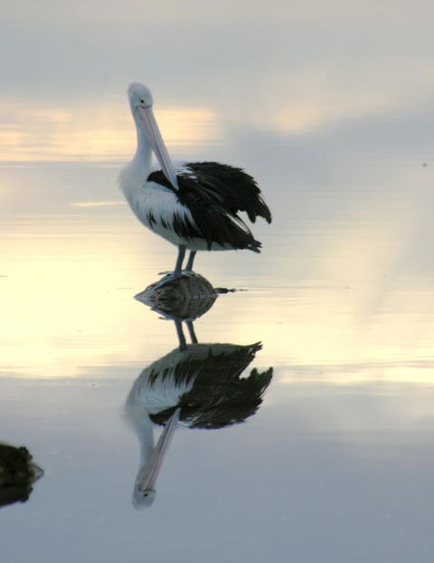 Wanderers Rest Of Kangaroo Island - Accommodation Yamba 3