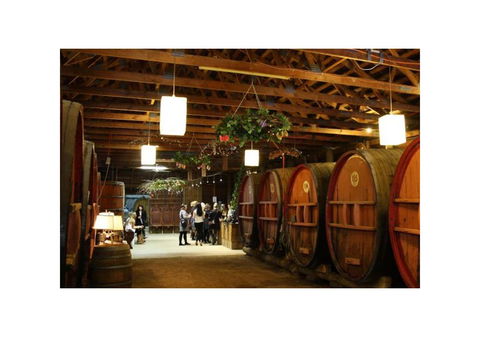 Wanderlight Motor Inn - Accommodation Yamba 2