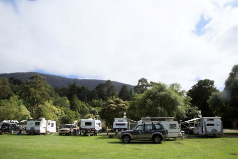 Warburton Holiday Park - Accommodation Yamba 0