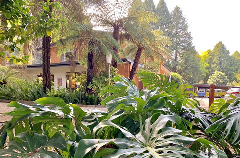 Warburton Motel - Accommodation Yamba 0