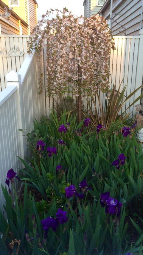 Redruth Cottage - Accommodation Yamba 24