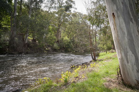 Oscar\'s On The Yarra - Accommodation Yamba 23