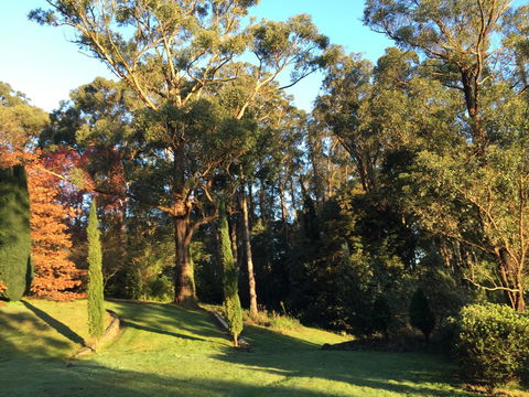 The Dan - Accommodation Yamba 23