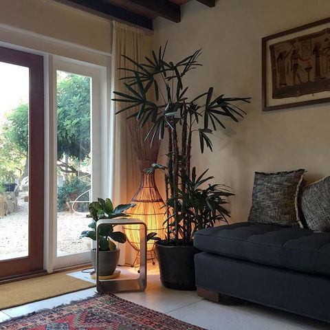 Be&be Castlemaine - Accommodation Yamba 1