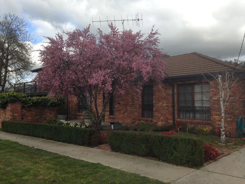 Bricks And Roses - Accommodation Yamba 1