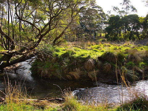 Green Gully House - Accommodation Yamba 5