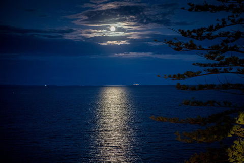 The Sebel Brisbane Margate Beach - Accommodation Yamba 31