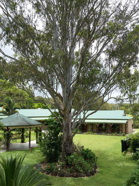 The Bearded Dragon Boutique Hotel - Accommodation Yamba 32