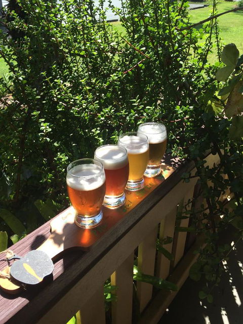 The Bearded Dragon Boutique Hotel - Accommodation Yamba 31