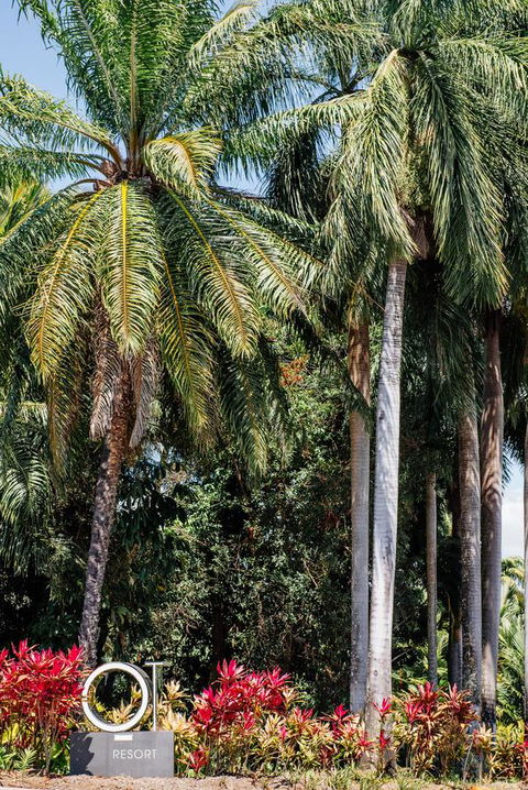 Oaks Port Douglas Resort - Accommodation Yamba 40