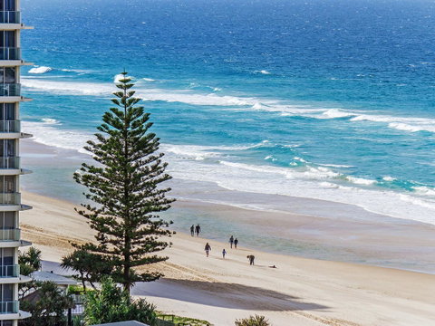 Sunbird Beach Resort Main Beach - Accommodation Yamba 27