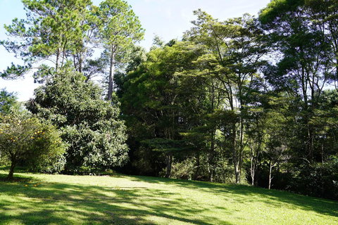 McCarthy Grove Maleny - Accommodation Yamba 2