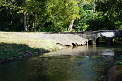 McCarthy Grove Maleny - Accommodation Yamba 1