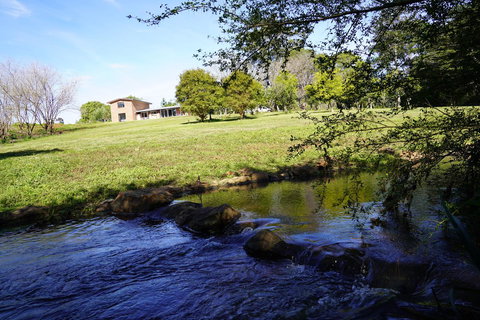 McCarthy Grove Maleny - Accommodation Yamba 5