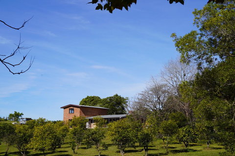 McCarthy Grove Maleny - Accommodation Yamba 4