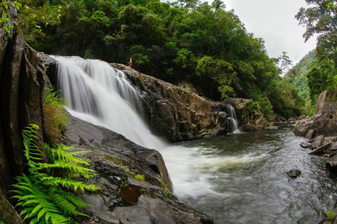 Coral Tree Inn - Accommodation Yamba 40