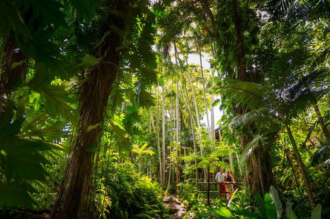 Cairns Colonial Club Resort - Accommodation Yamba 22