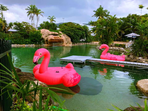 Cairns Colonial Club Resort - Accommodation Yamba 6