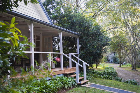 Curtis Falls Cottage - Accommodation Yamba 15