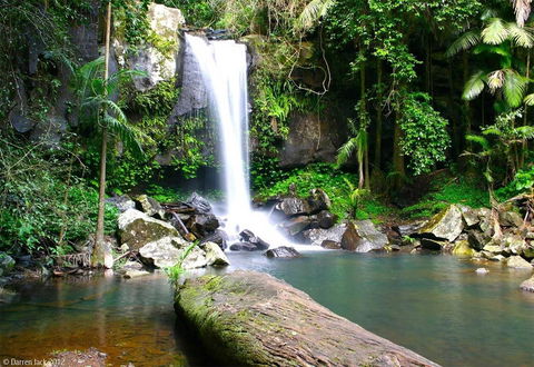 Curtis Falls Cottage - Accommodation Yamba 22