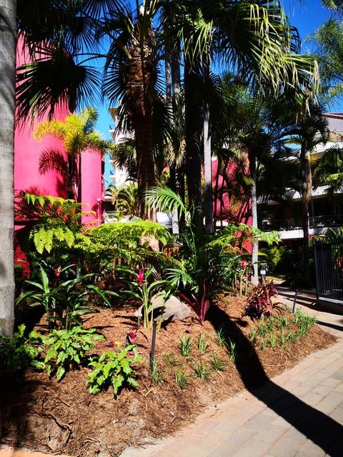 Enderley Gardens Resort - Accommodation Yamba 12