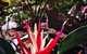 Enderley Gardens Resort - thumb 14