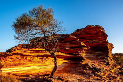 Waterside House Kalbarri - Accommodation Yamba 2