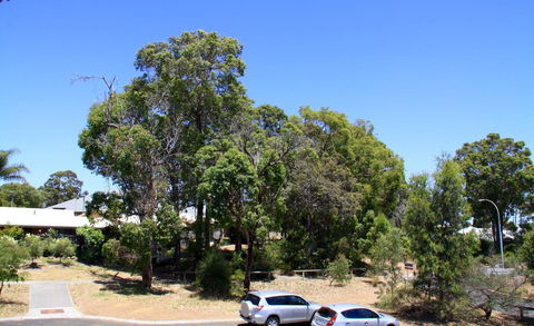 Waves On Fearn - Accommodation Yamba 3