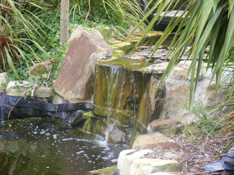 Weeroona Bed And Breakfast - Accommodation Yamba 2