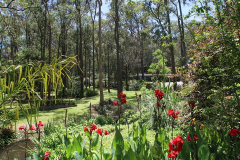 Werekataba - Accommodation Yamba 0