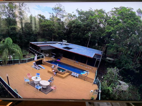 Where The Forest Meets The Sea On The Gold Coast - Accommodation Yamba 0