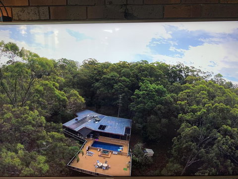 Where The Forest Meets The Sea On The Gold Coast - Accommodation Yamba 1