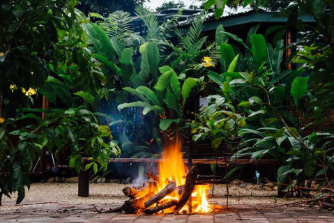 Wildwood - Accommodation Yamba 2