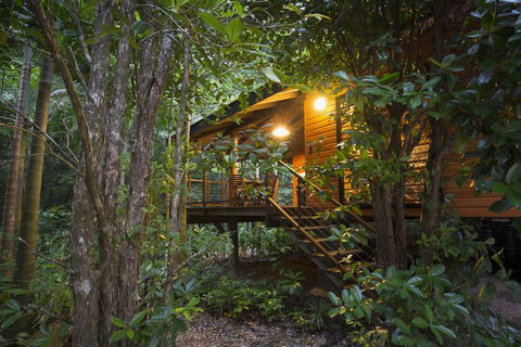 Wildwood - Accommodation Yamba 0