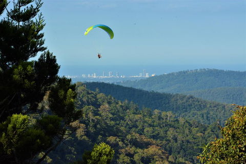 Willow Cabin - Accommodation Yamba 1