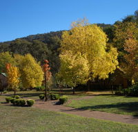 Willowlake Cottages - Accommodation Yamba