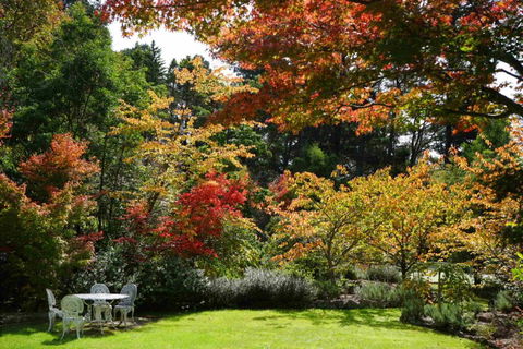 Wimbeldon - Accommodation Yamba 3