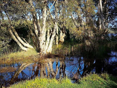 Wisteria Cottage On The Lagoon/Beach - Accommodation Yamba 2