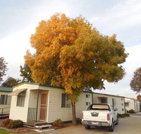 Wodonga Caravan  Cabin Park - Accommodation Yamba