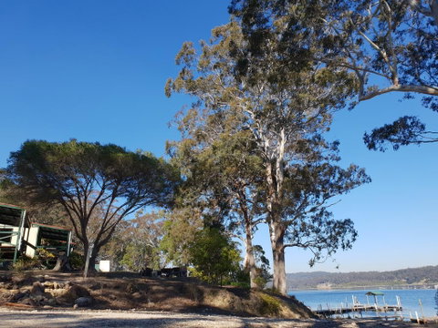 Wonboyn Lake Resort - Accommodation Yamba 2
