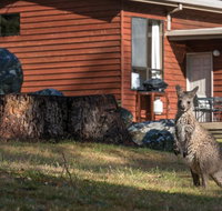 Wonderland Cottages - Accommodation Yamba