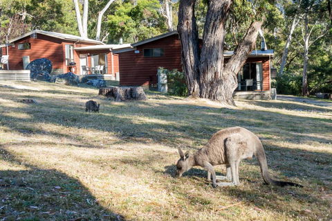 Wonderland Cottages - Accommodation Yamba 1