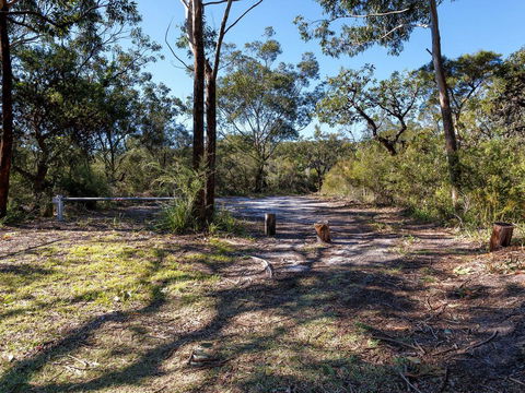 Wongaburra - Accommodation Yamba 2
